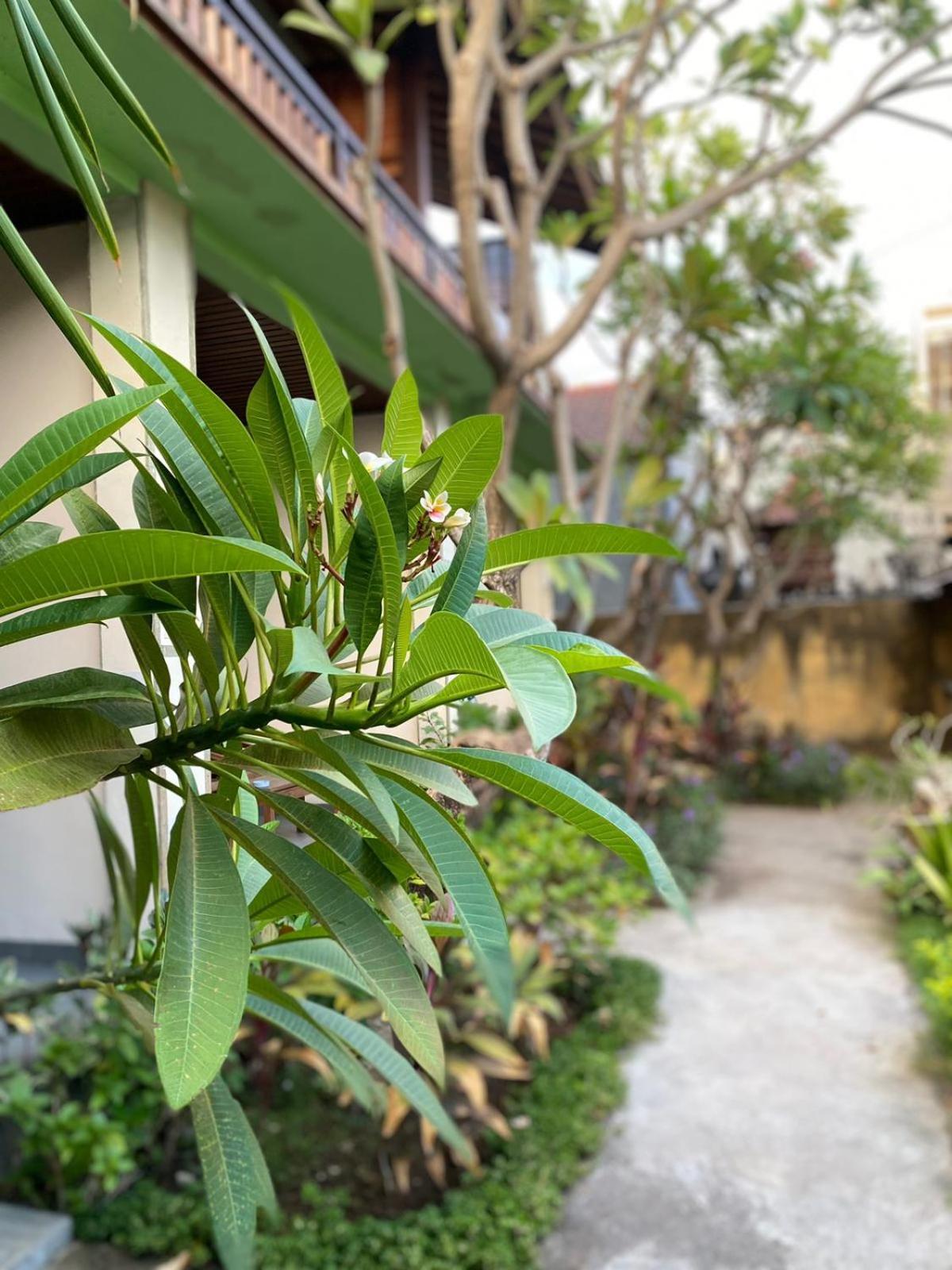 Putra'Lebah Amed Guest House Exterior photo